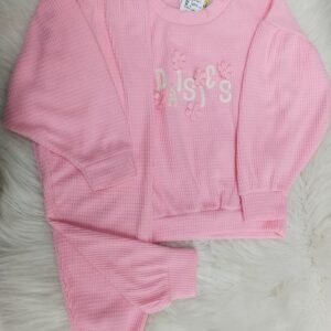 Conjunto Feminino De Moletom Rosa